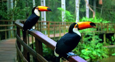 Iguacu Nationalpark